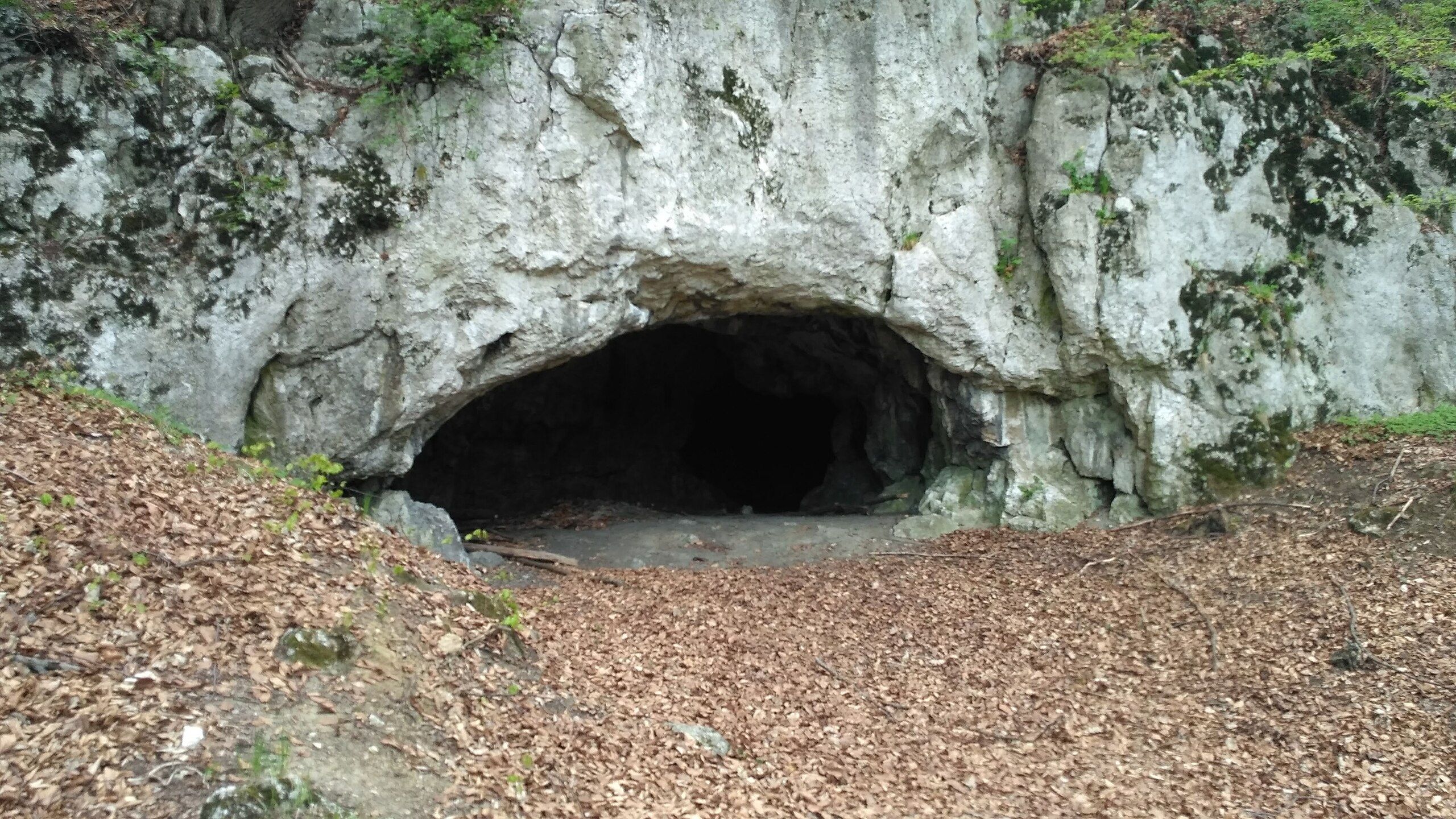 科学者は、共食いが古代のポーランドの集団に「不可欠」であることを発見しました