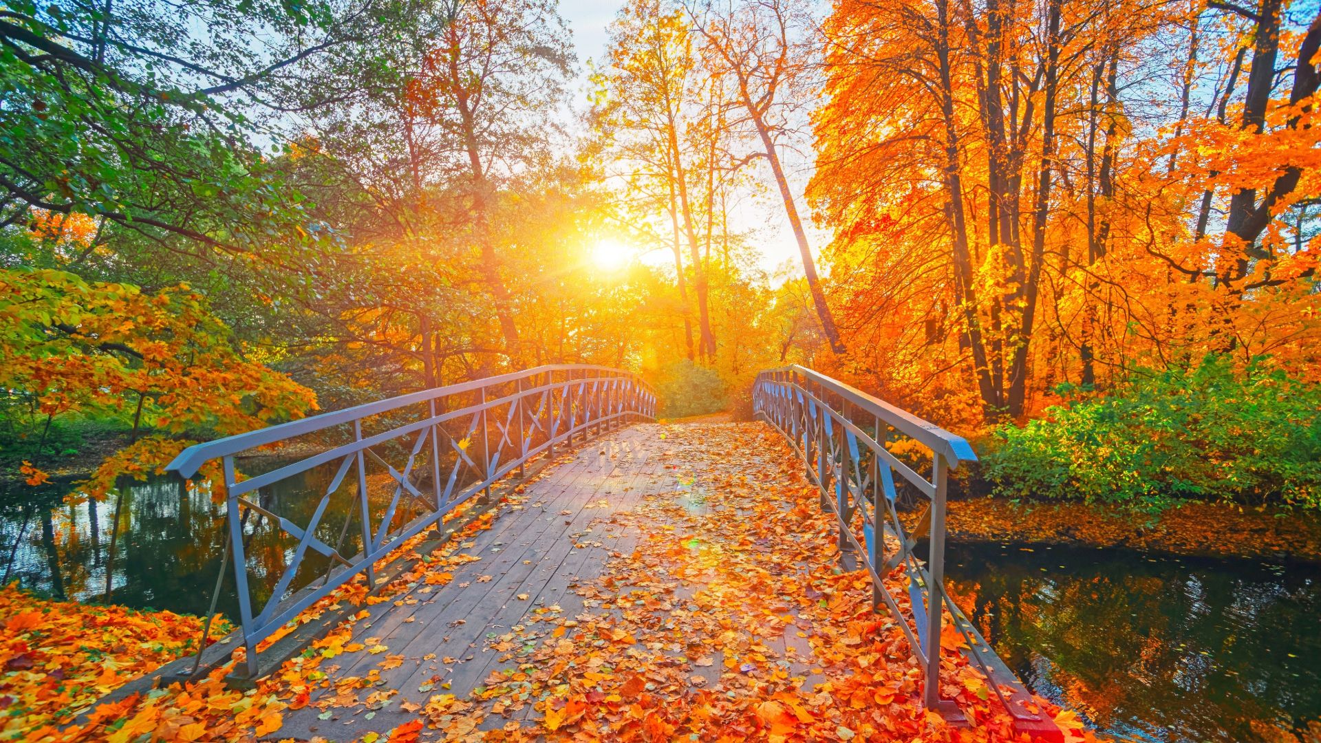 ニューヨークでやるべき7つの過小評価されていること