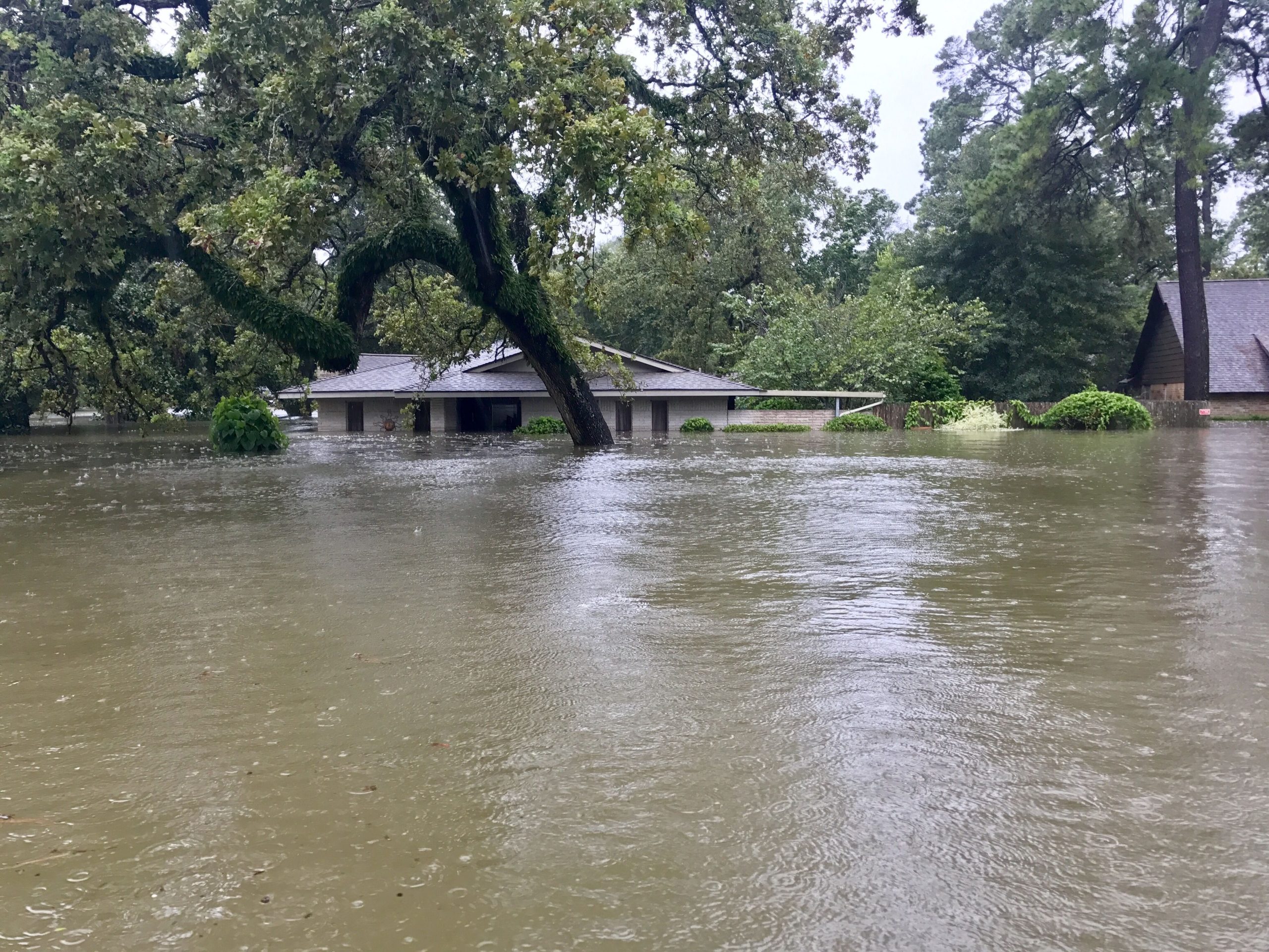 FEMAの時代遅れの洪水地図は、最近のハリケーン洪水の犠牲者を報道せずに残します