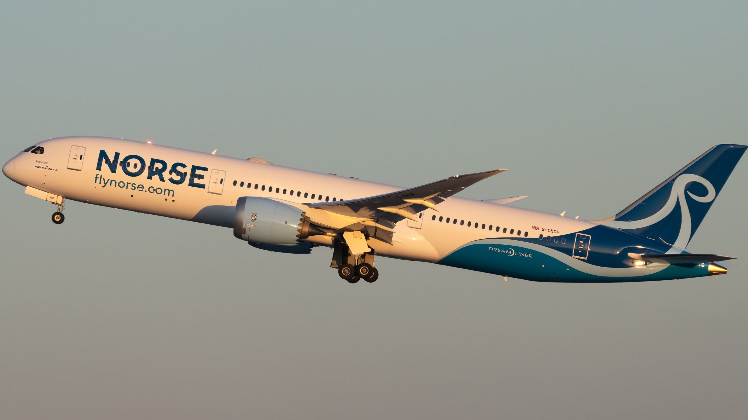 WOW：北欧大西洋航空は大西洋横断便を100ドル未満で販売しています