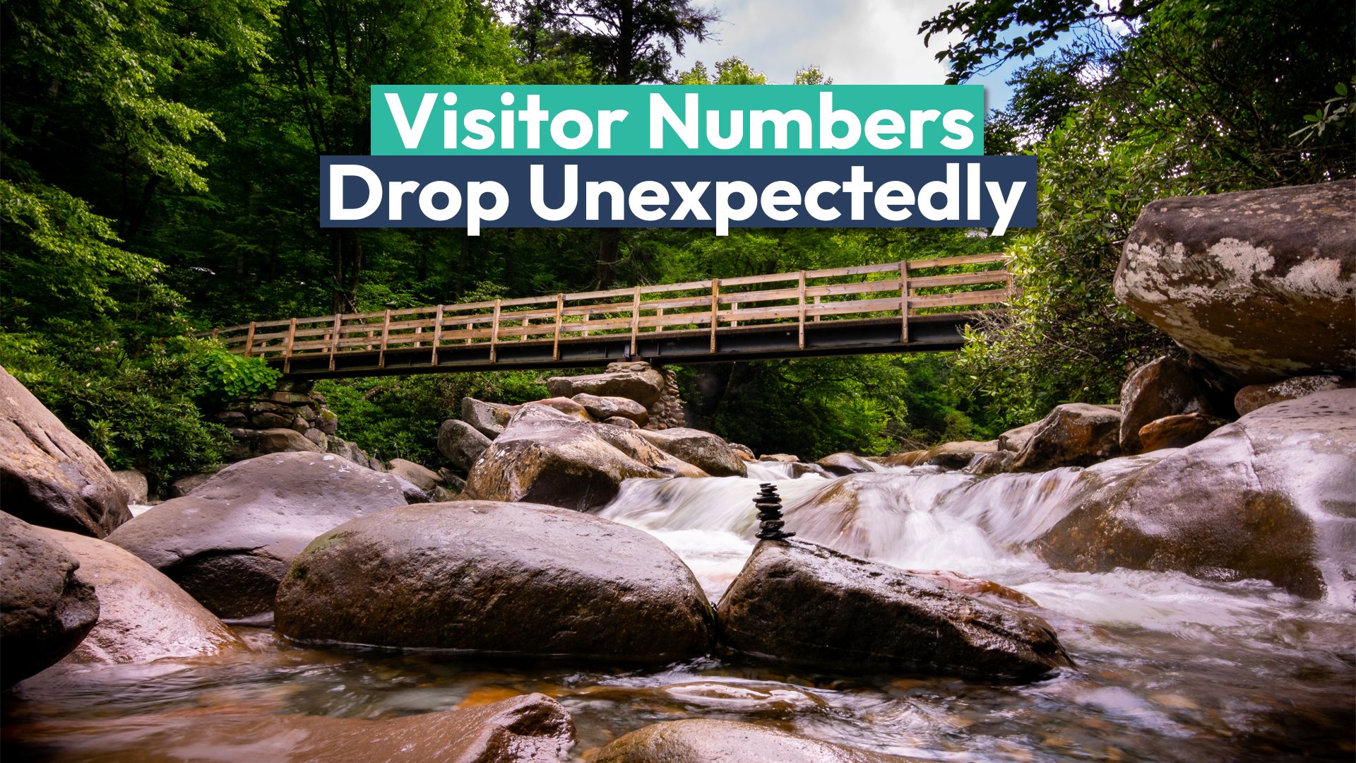 グレートスモーキーマウンテンズ国立公園では、私たちが期待していなかった理由で訪問の滴を見ました