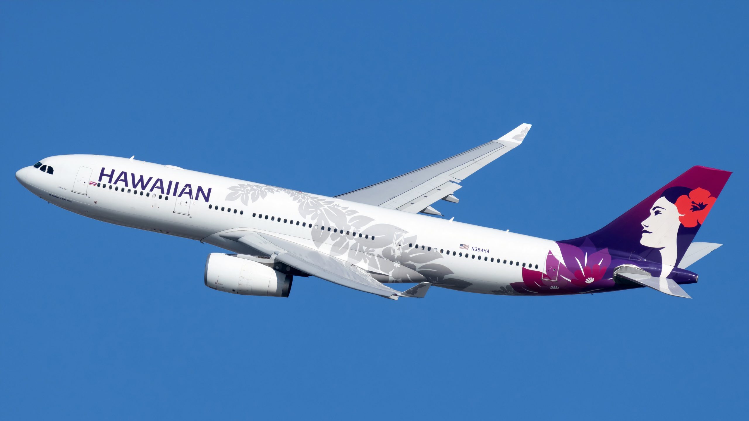 ハワイアン航空の乗客は、客室乗務員がiPadバッテリー火災を処理する準備ができていなかったと言います