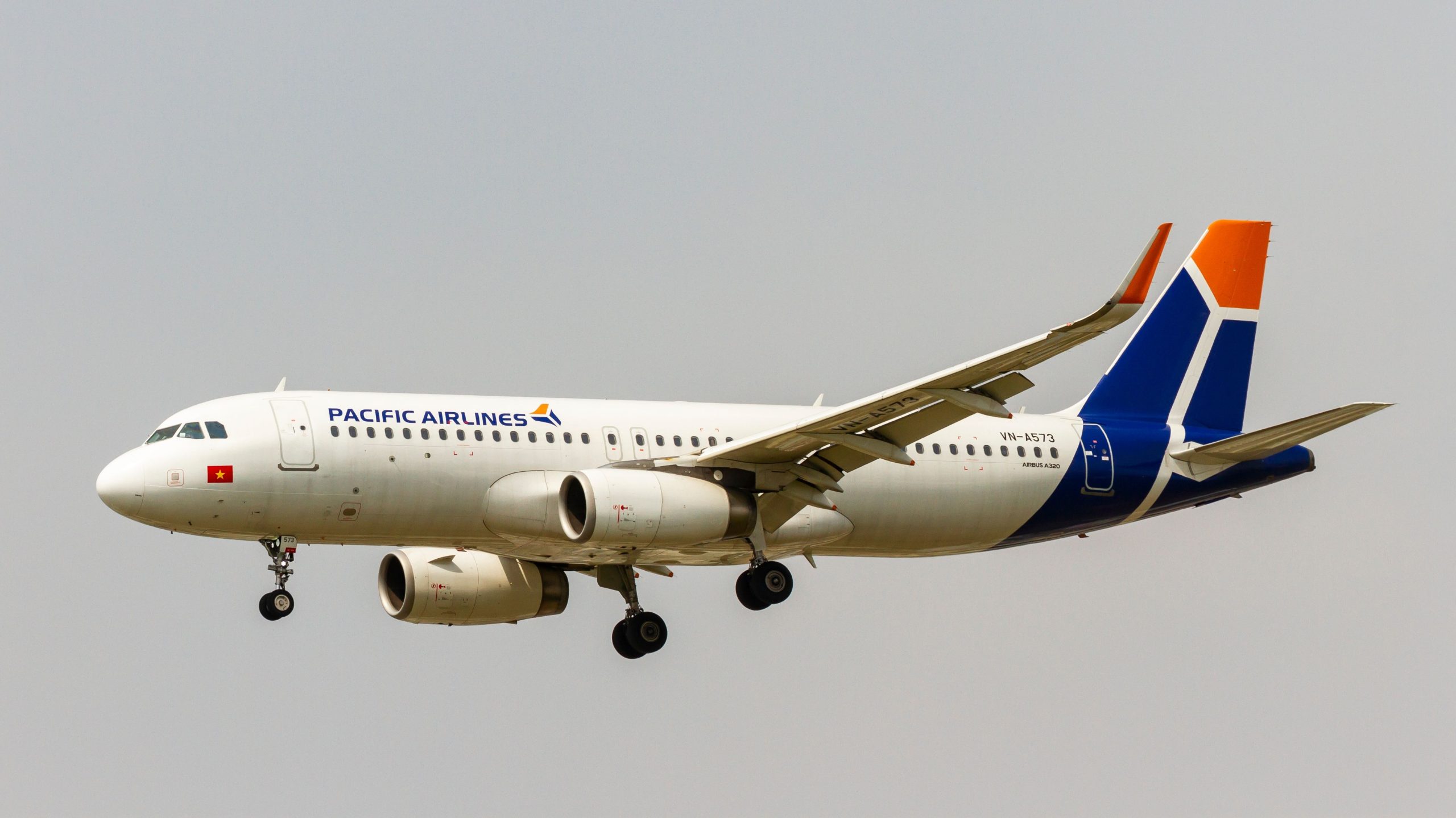 財政的災難：パシフィック航空ベトナムは、再構築を許可するためのフライトを停止します