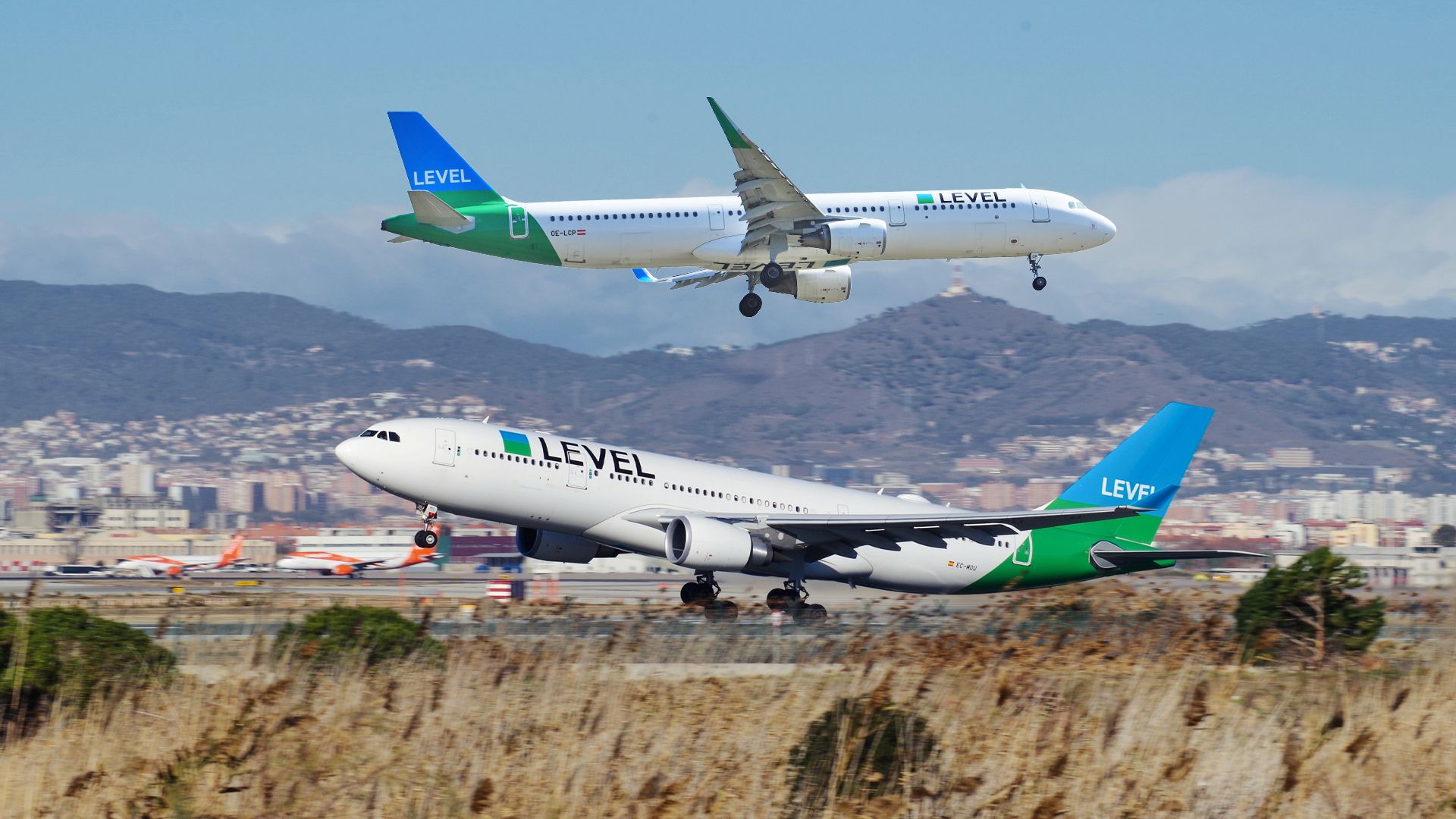 レベルはIAGにどのように適合しますか？