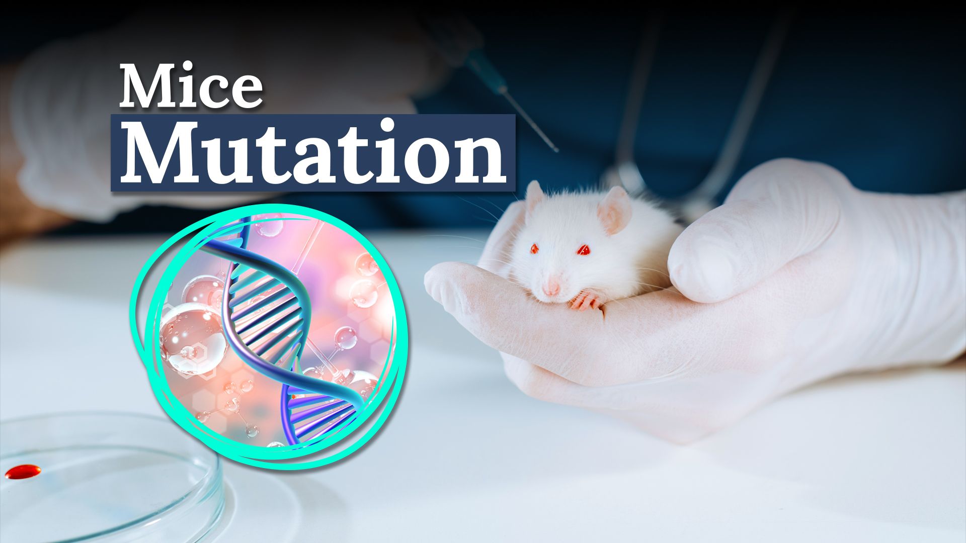 マウスに入れられた人間の「言語遺伝子」は本当に非常に奇妙なものを明らかにしています