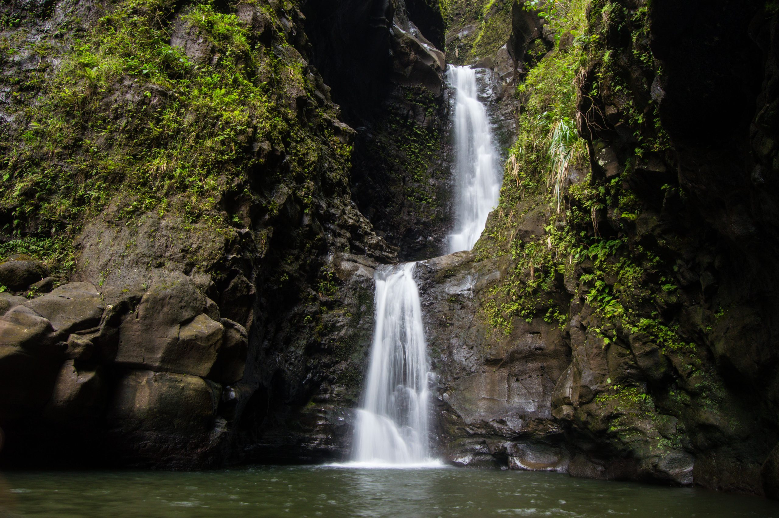 ハワイへのドリームハイキング旅行は、フリーク事故で殺されたスーパースターのペストリーシェフの後、悲劇的になります