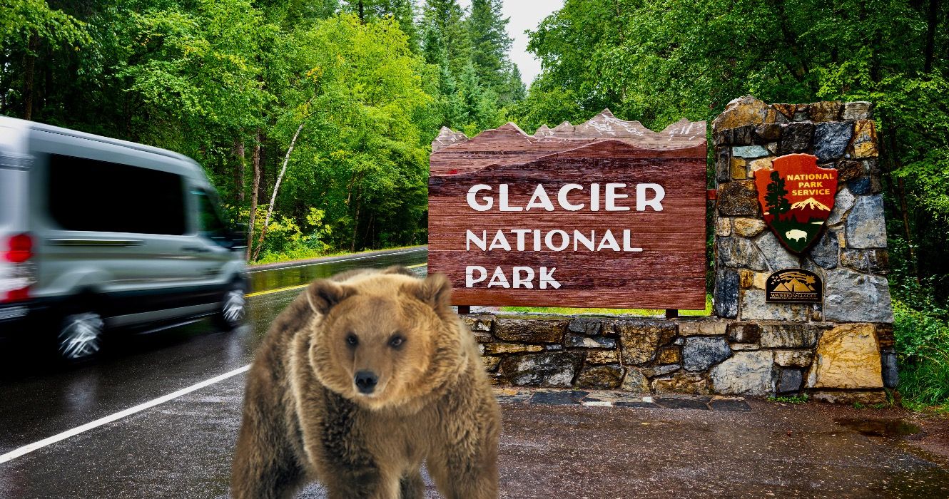 2024年シーズンの国立公園の予約について知っておくべきすべて