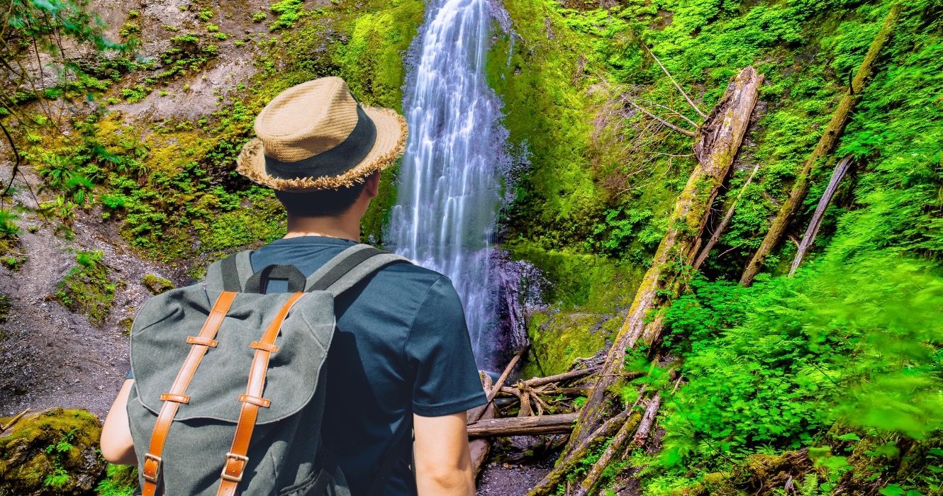 オリンピック国立公園での簡単なハイキング