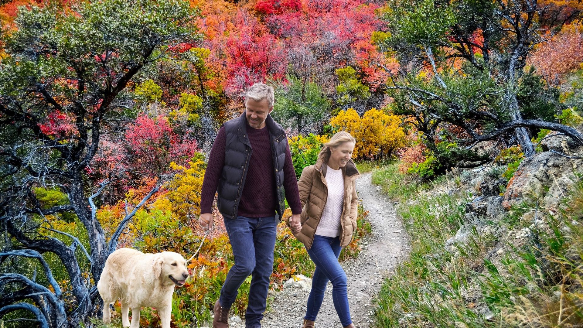 ソルトレイクシティをスキップして、代わりにユタ州ミルクリークをチェックしてください