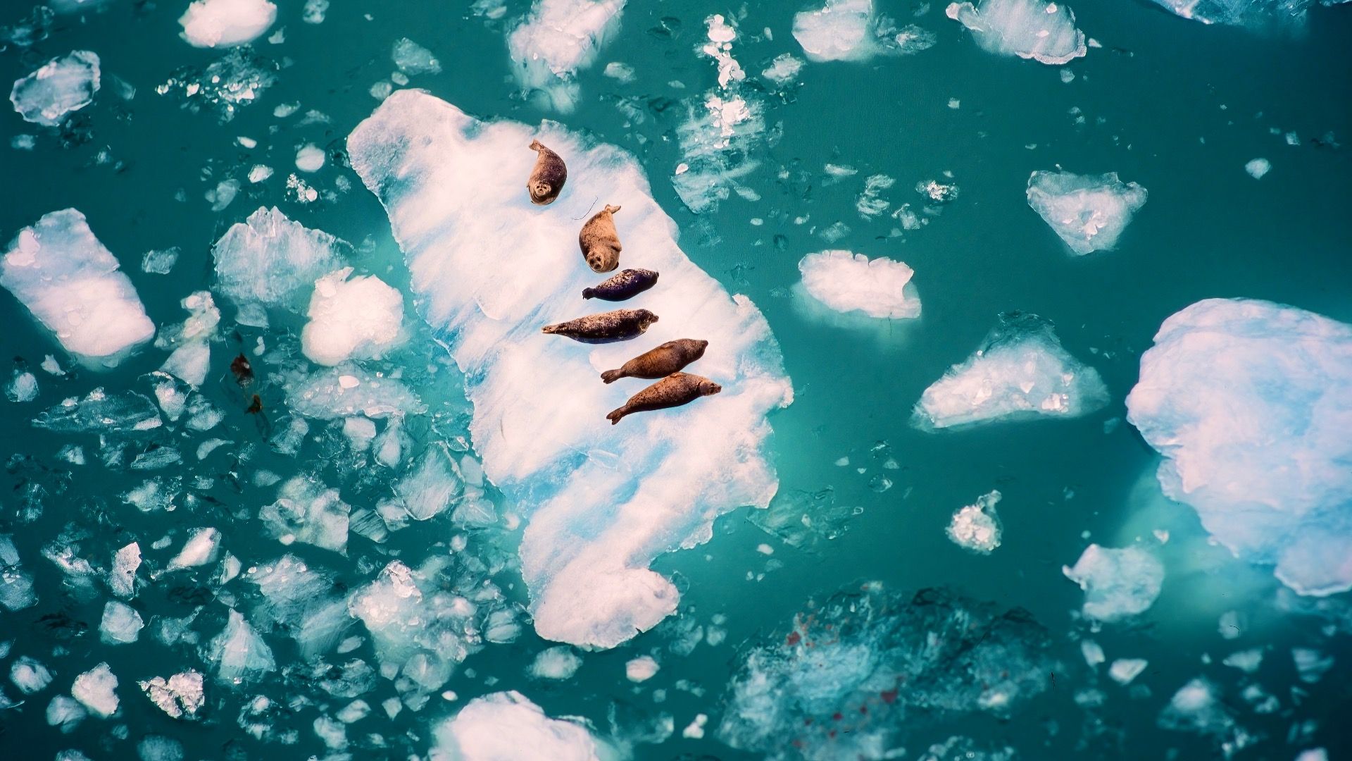 このアラスカ地域では、アメリカのすべてよりも多くの人が行方不明になります