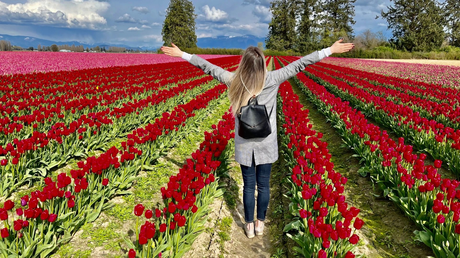 2024年にワシントンで最もかわいい町