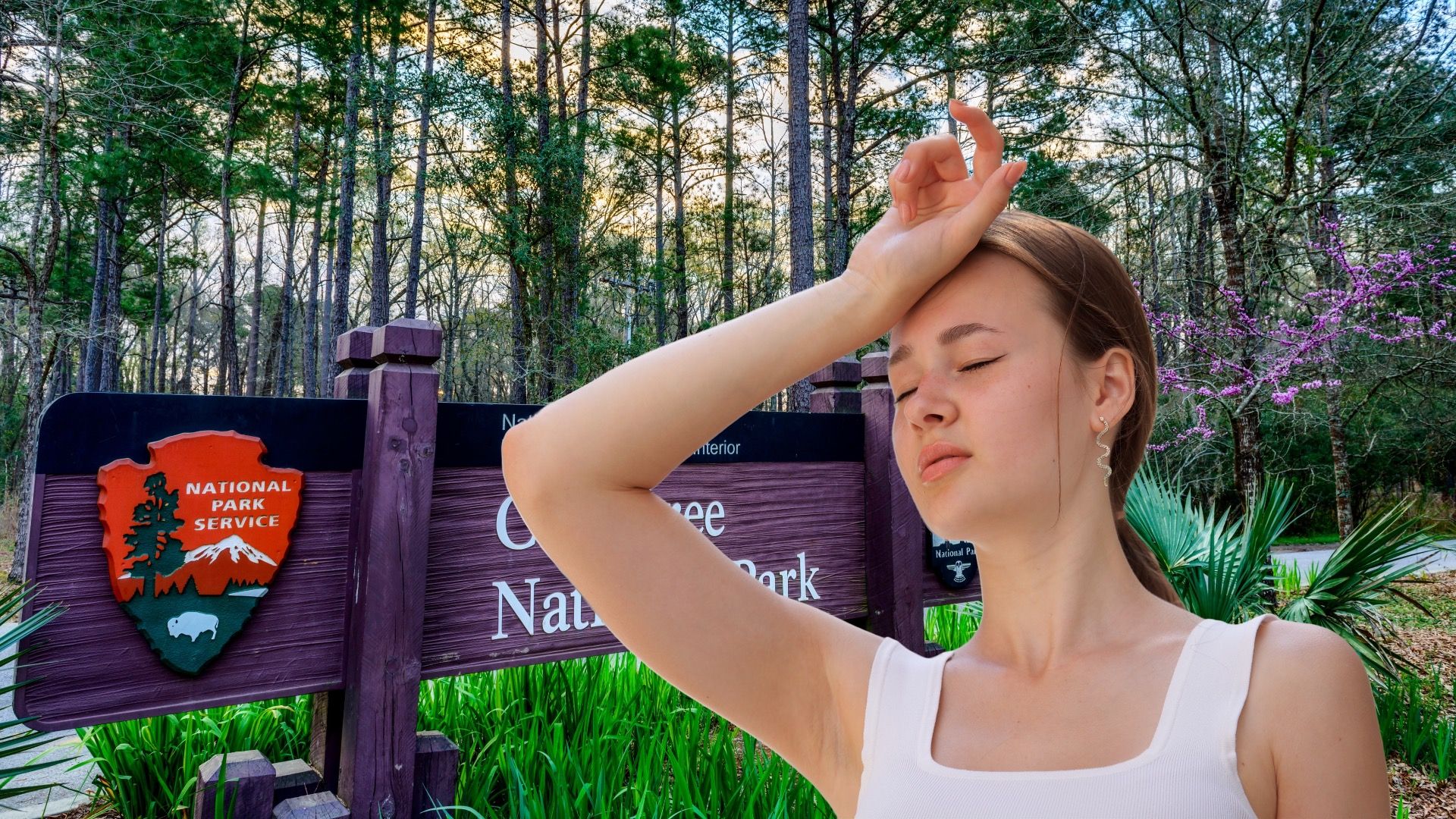 この国立公園は「最悪」であるという評判があります