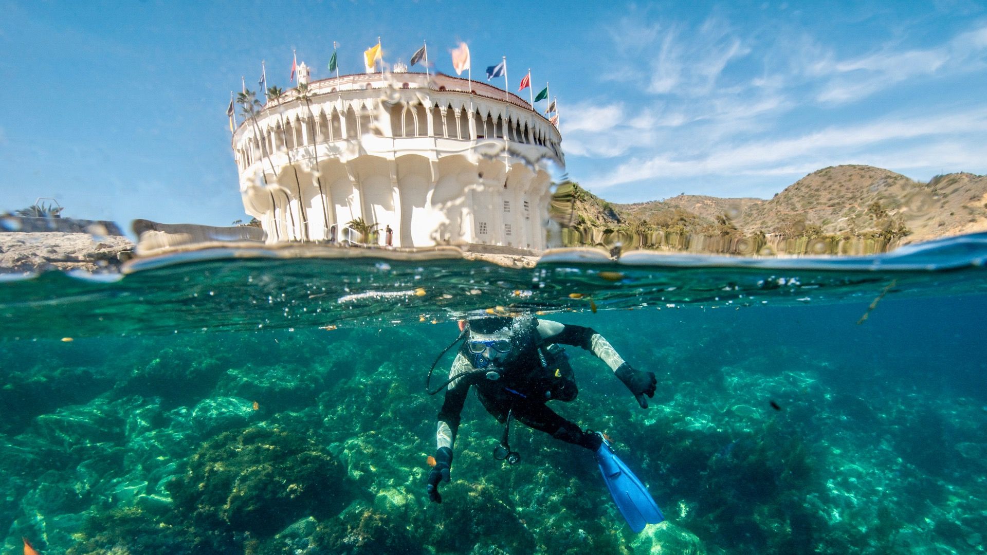 このカリフォルニア島はカリブ海のように感じます