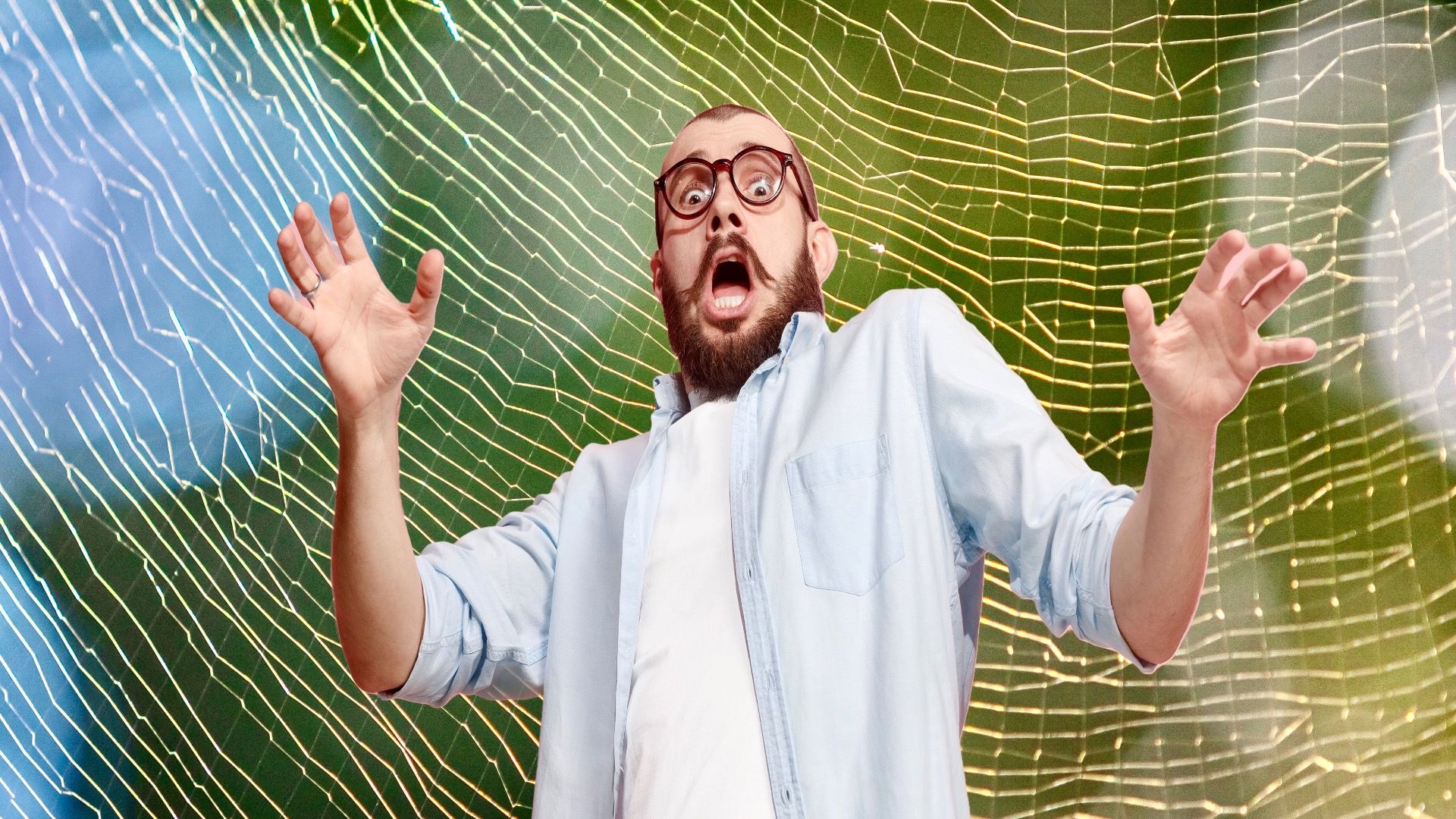 この不気味なフライングクモは、ニューイングランドを引き継いでいます