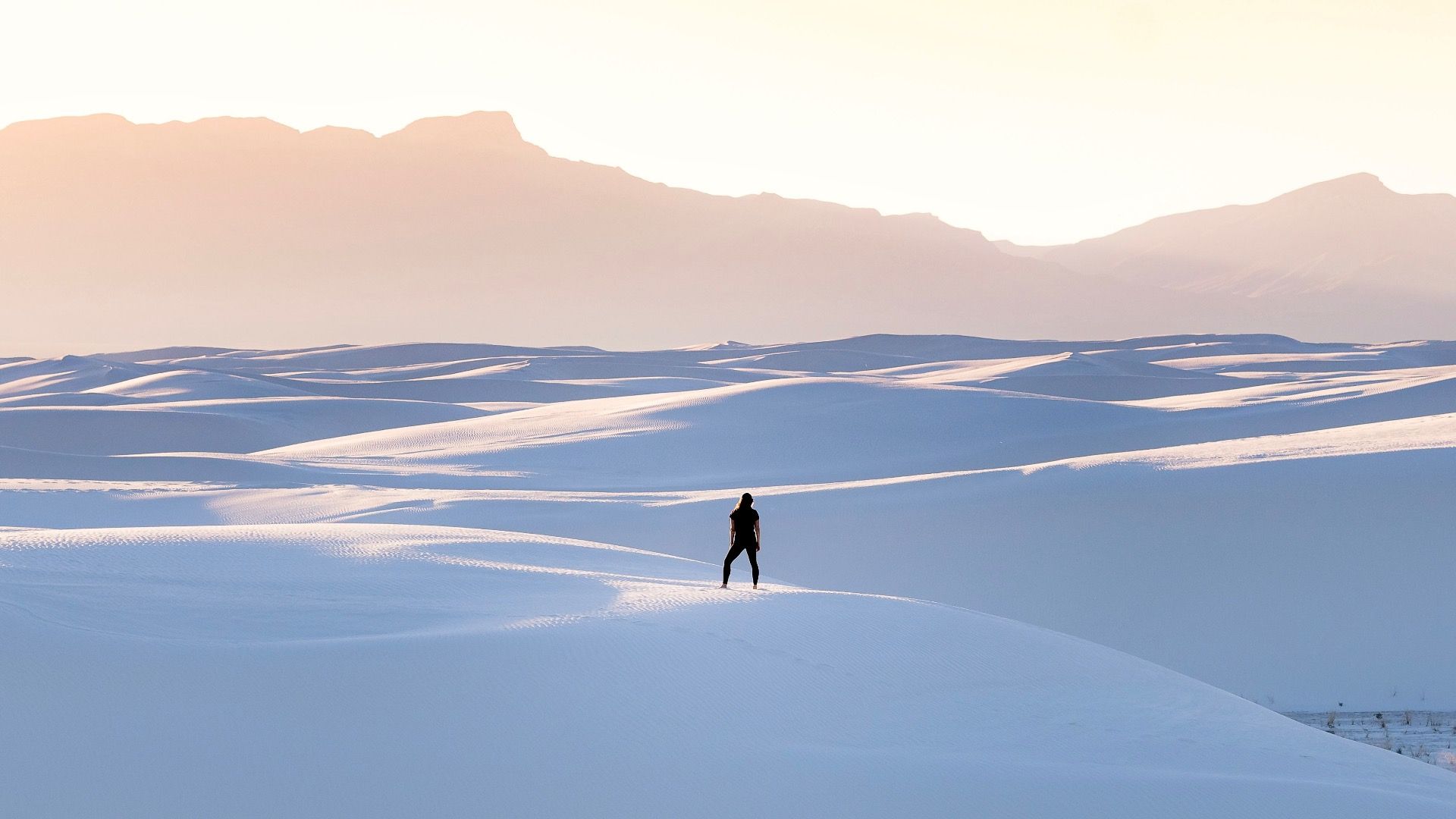 これらは米国で化石を見るのに最適な場所です