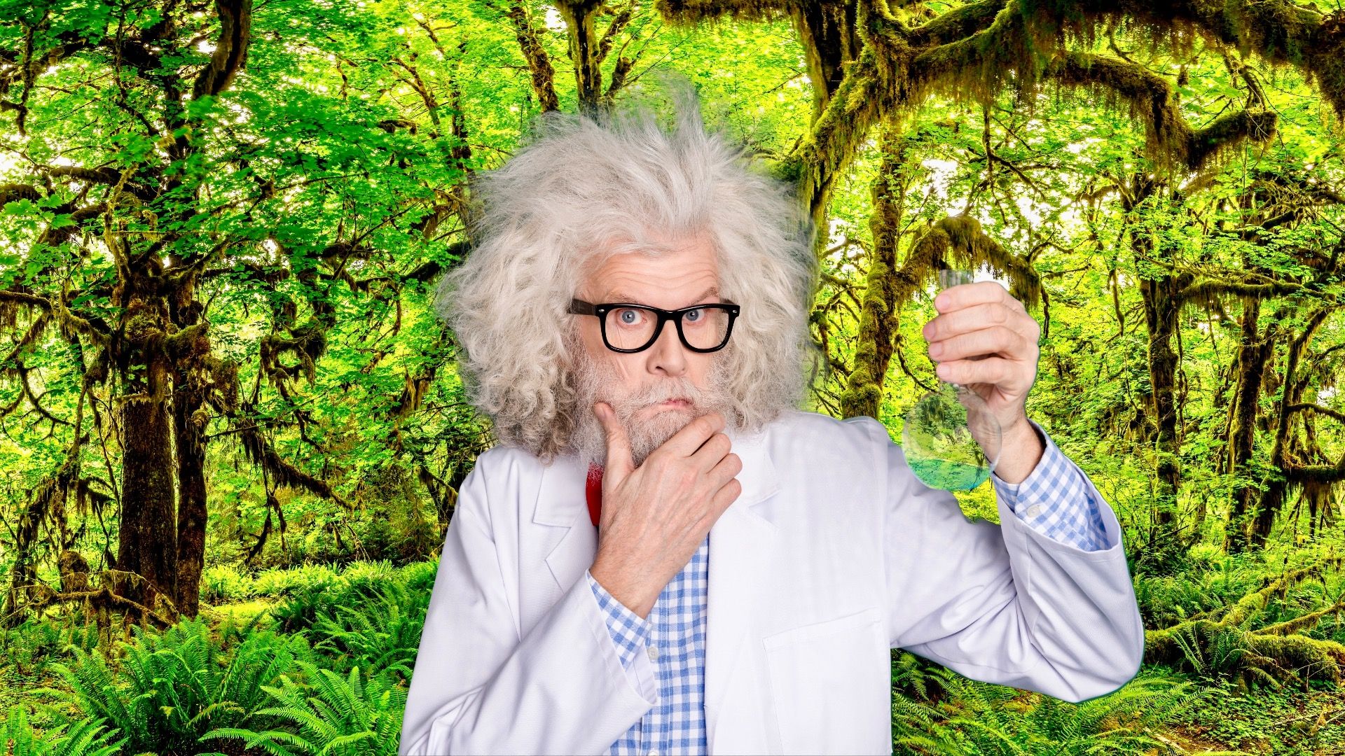 この国立公園は、国際的な生物圏保護区でもあります