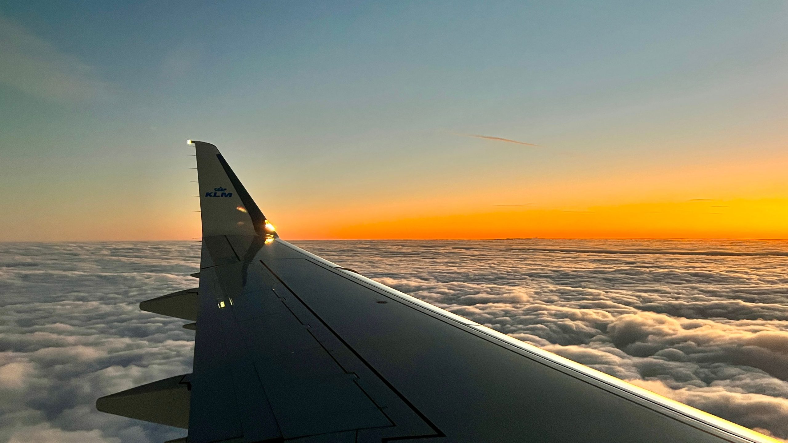 飛行中のシンプルな飛行：3月のトップ旅行レビュー