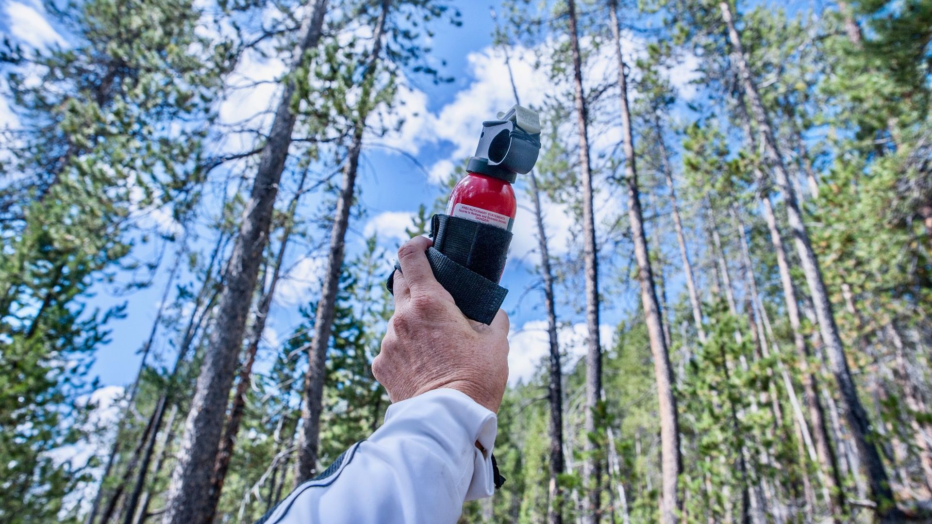 この夏、クマのスプレーを運ぶことについてよく考えてください