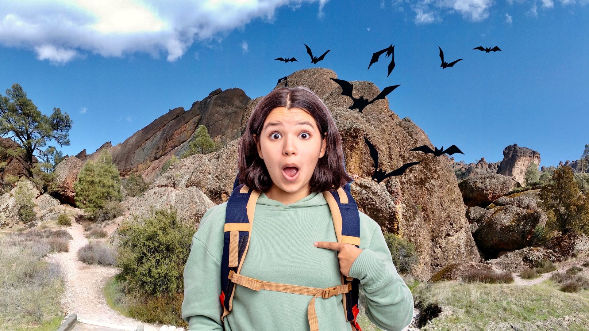 この人気のある国立公園でのコウモリに注意してください