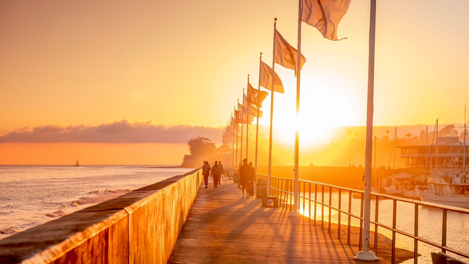 今年の夏、サンディエゴを訪れる7つの代替案