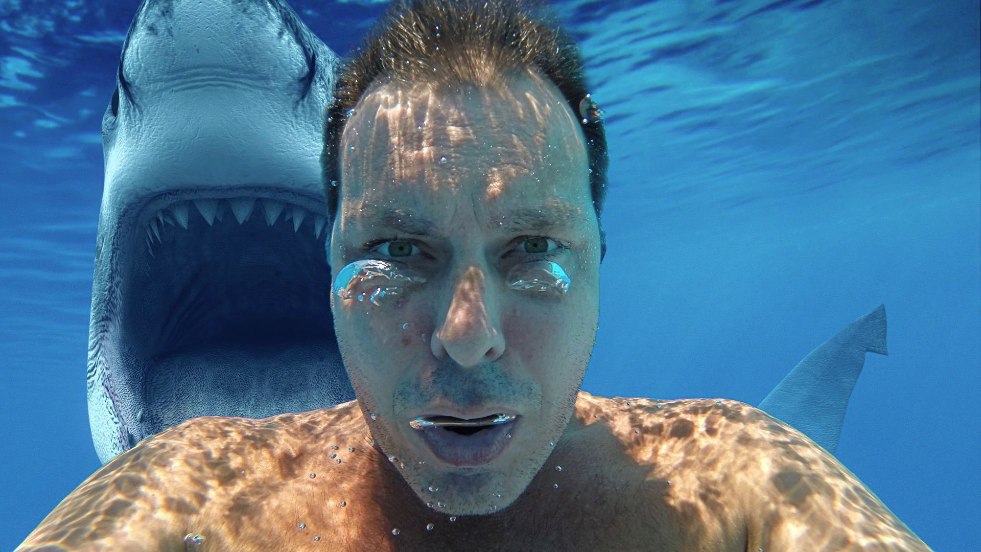 7つの驚くべき場所は、サメを見つけるとは思わないでしょう（しかしそうします）