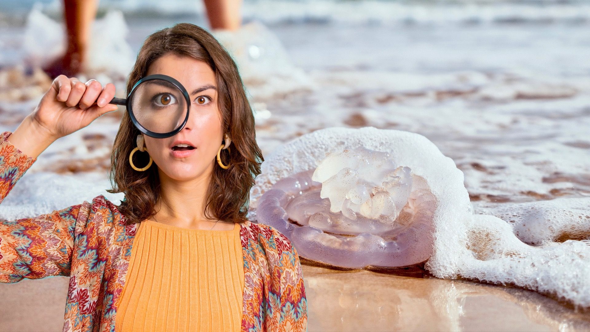 これらのビーチは、米国で最もクラゲの出会いを持っています