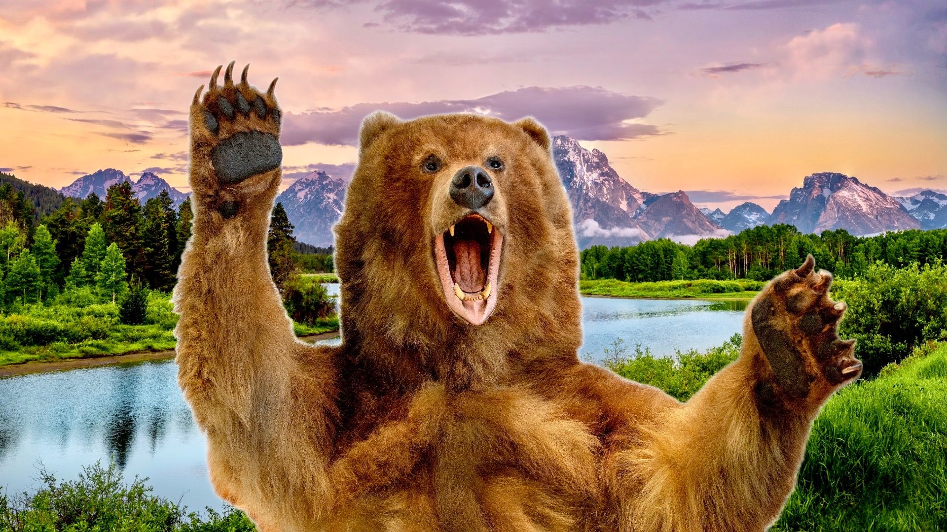 ヨセミテの隠された危険：国立公園では期待しない7つのこと