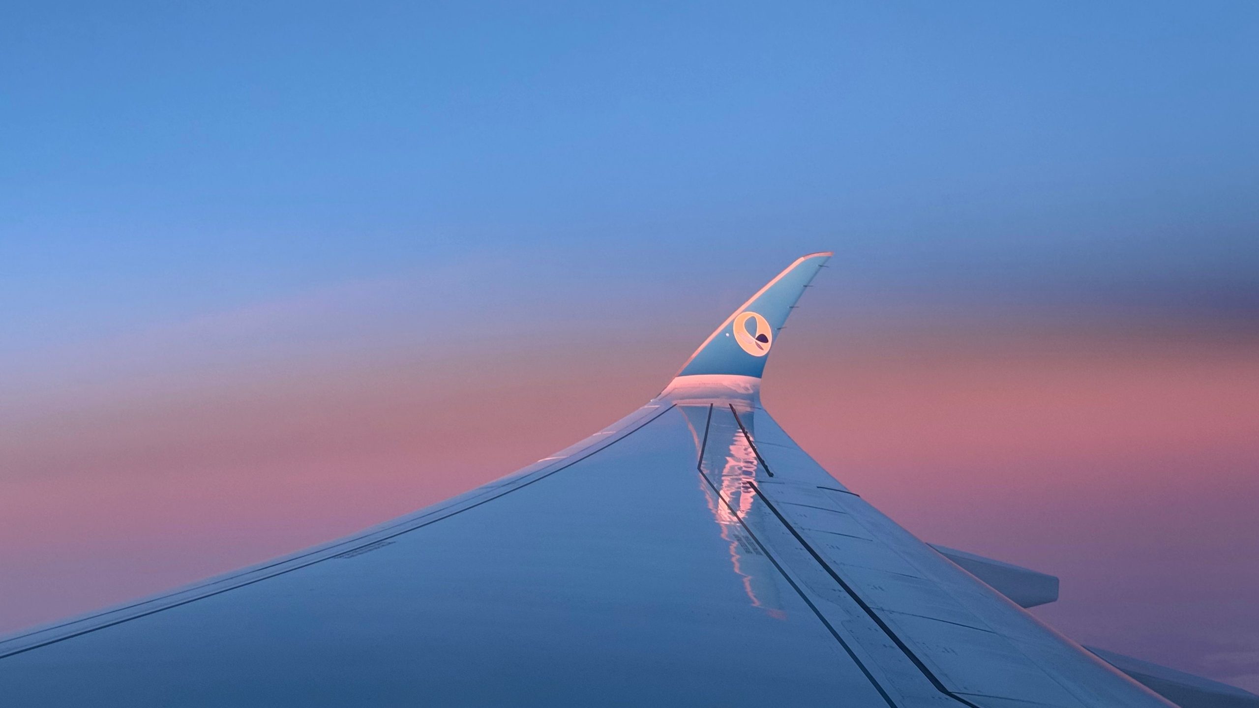 フライトレビュー：パリからニューアークまでのエコブルーのフレンチビーエアバスA350