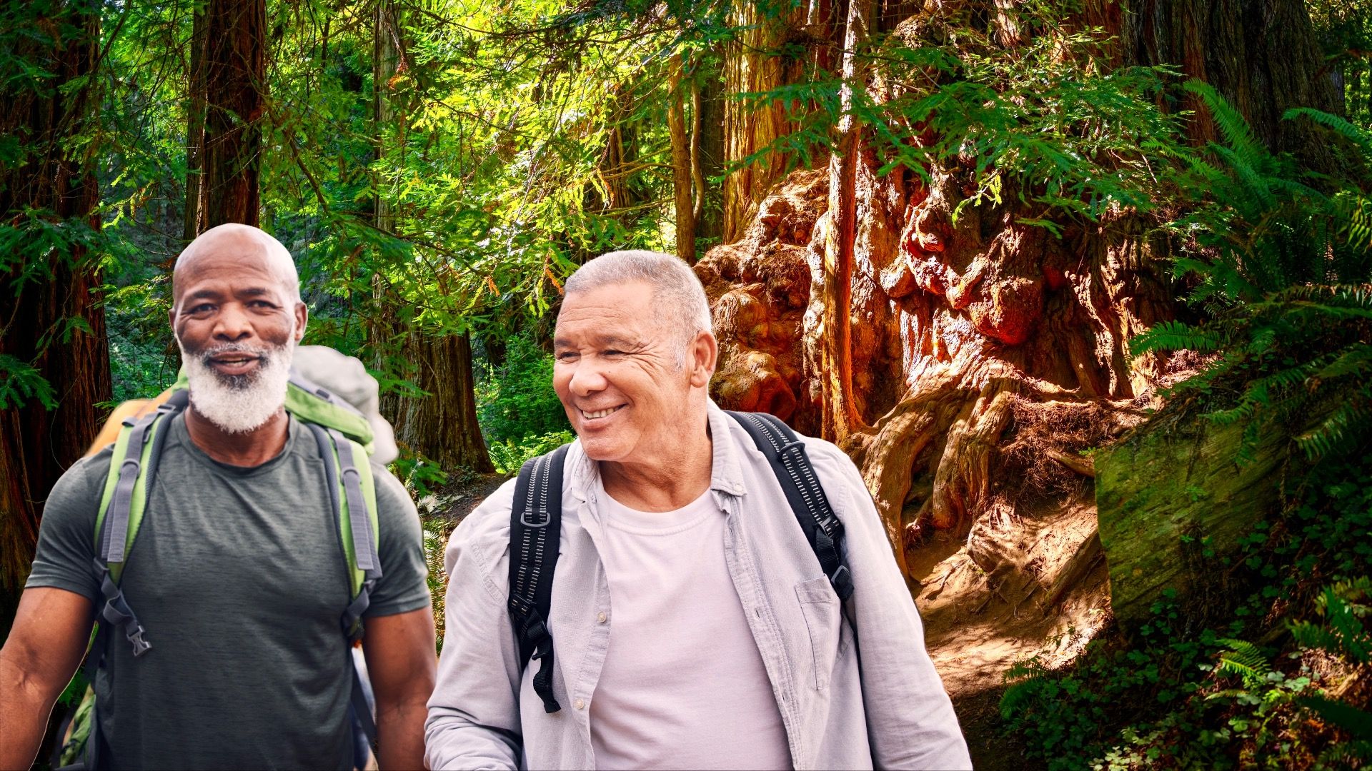 レッドウッドで失われた：NPSが私たちを惑わした方法