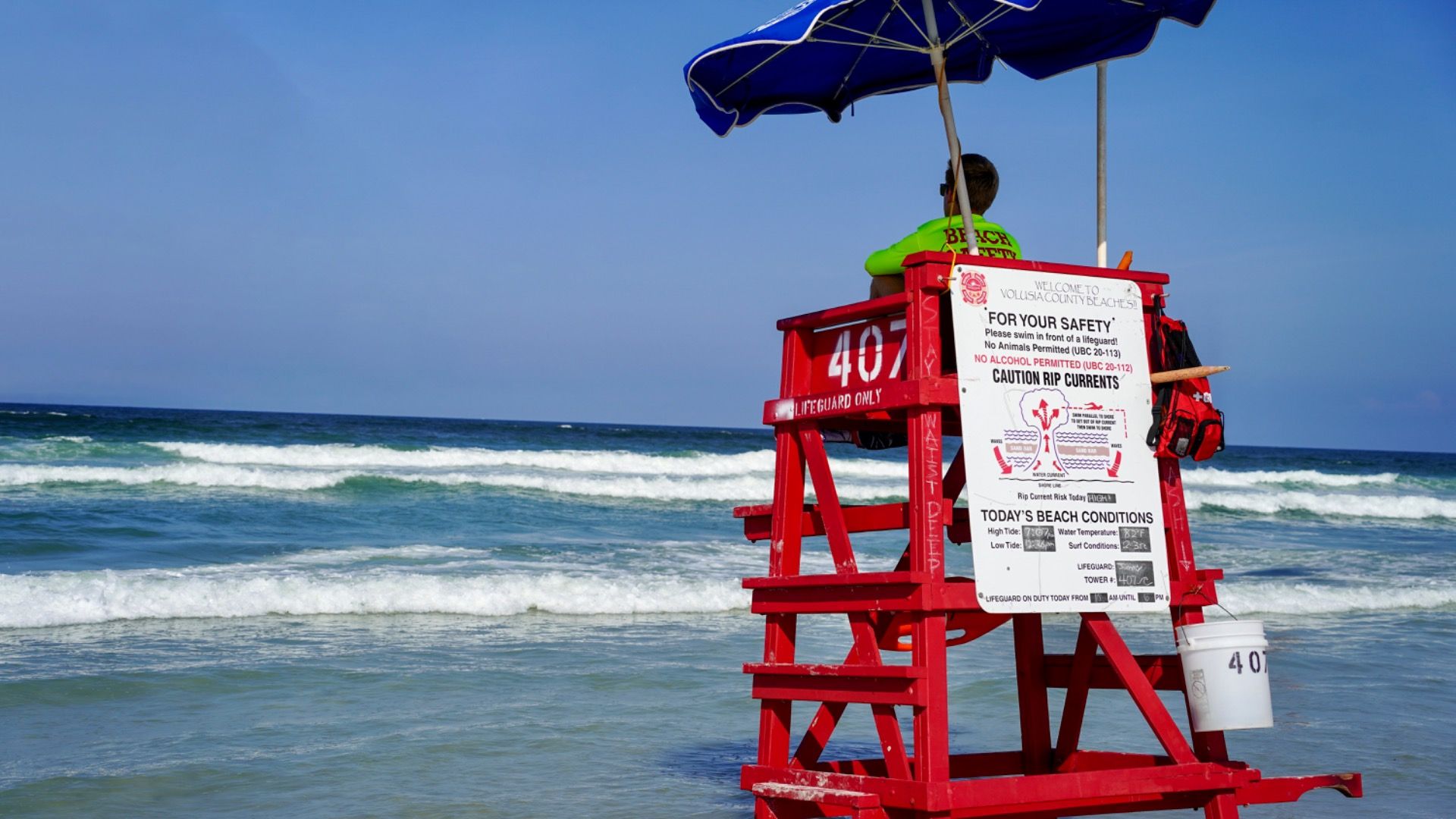 研究によると、この状態は最も報告されているサメの攻撃を持っています