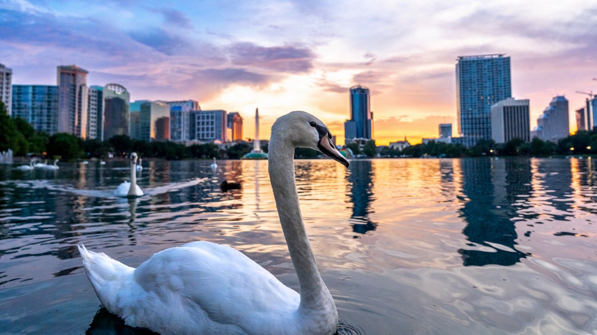 マイアミからの7ドルの安い長い週末旅行500ドル未満