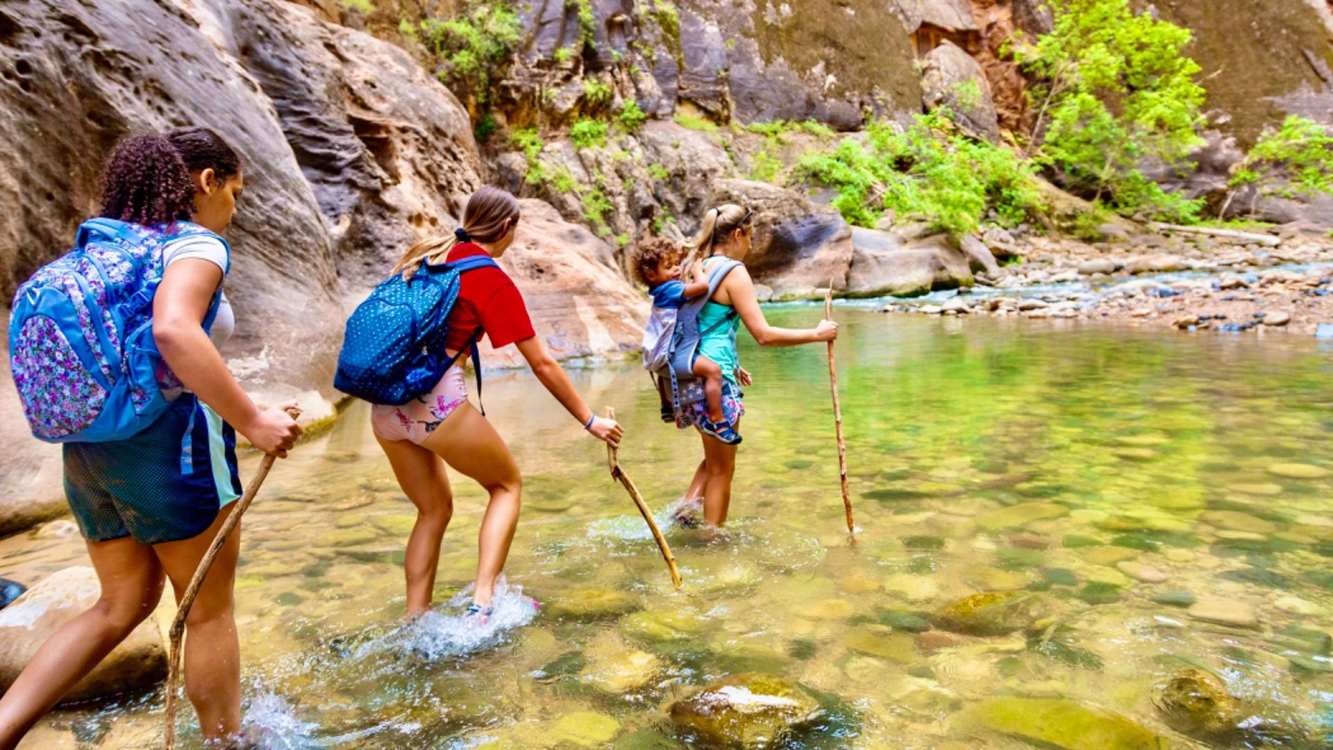 入り口から5マイル以内の風光明媚なハイキングのある国立公園