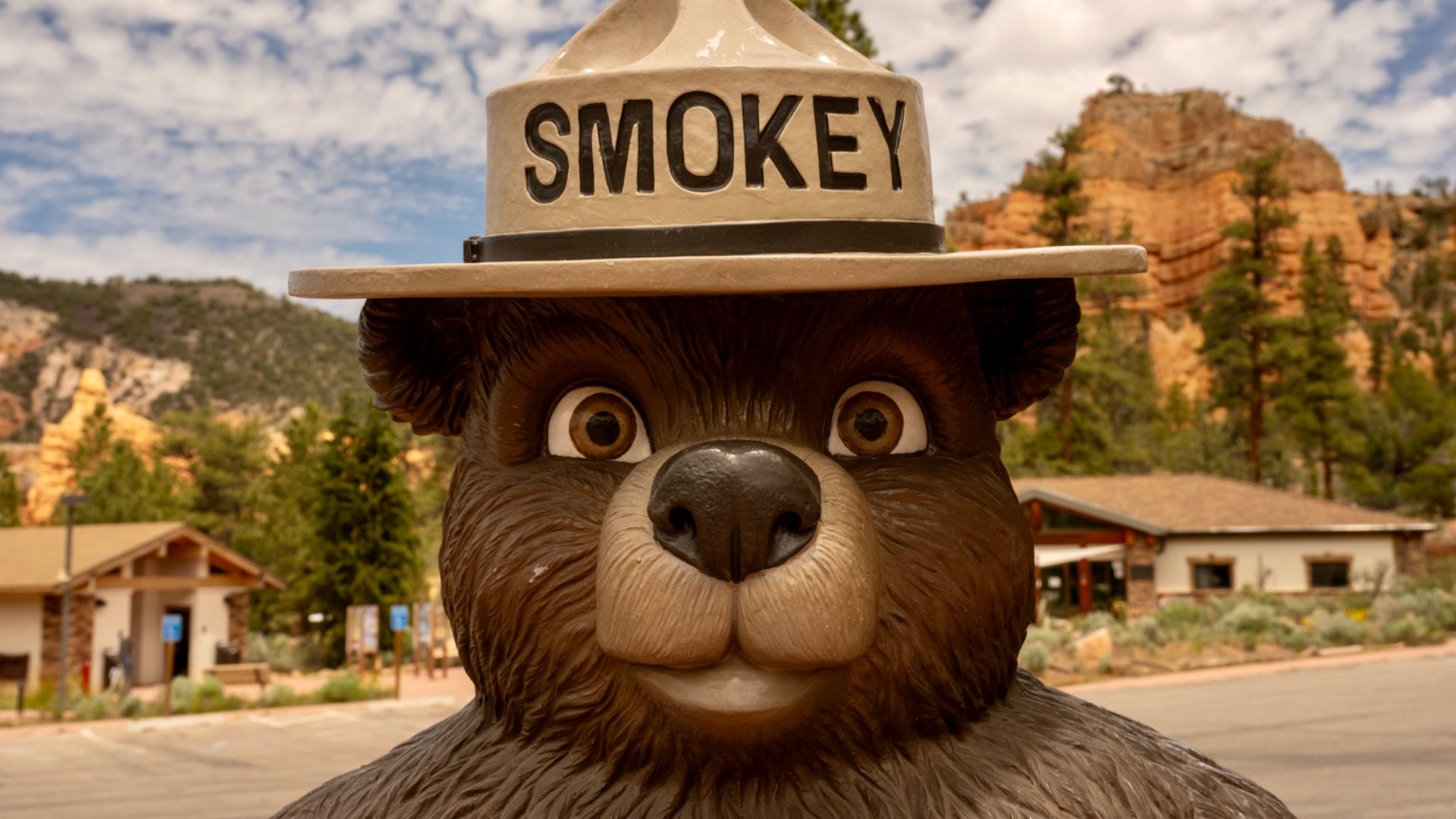 この危険な傾向は、国立公園で多くの命を奪っています