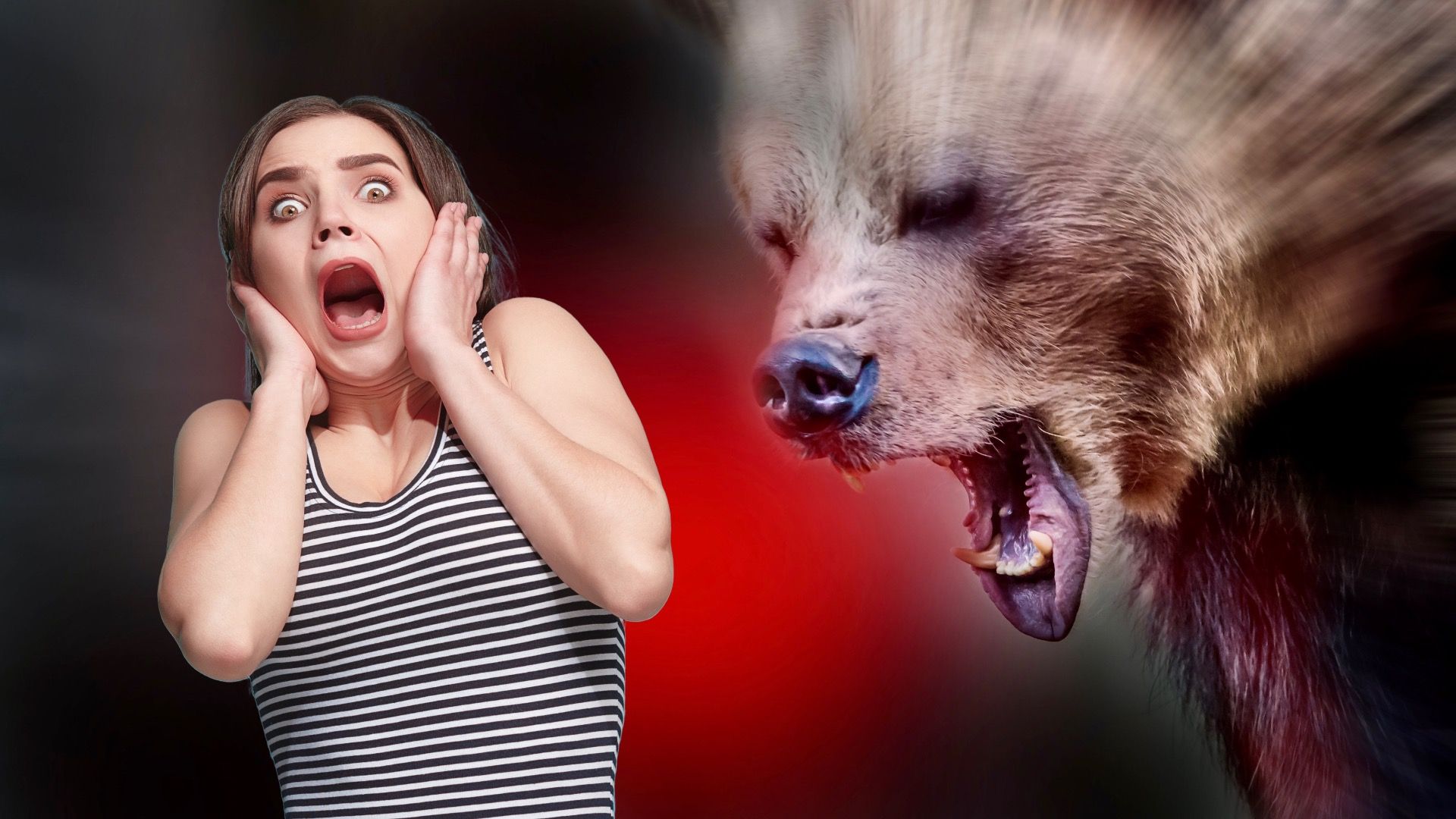 クマのスプレーについての真実：それが機能するときとそうでないとき