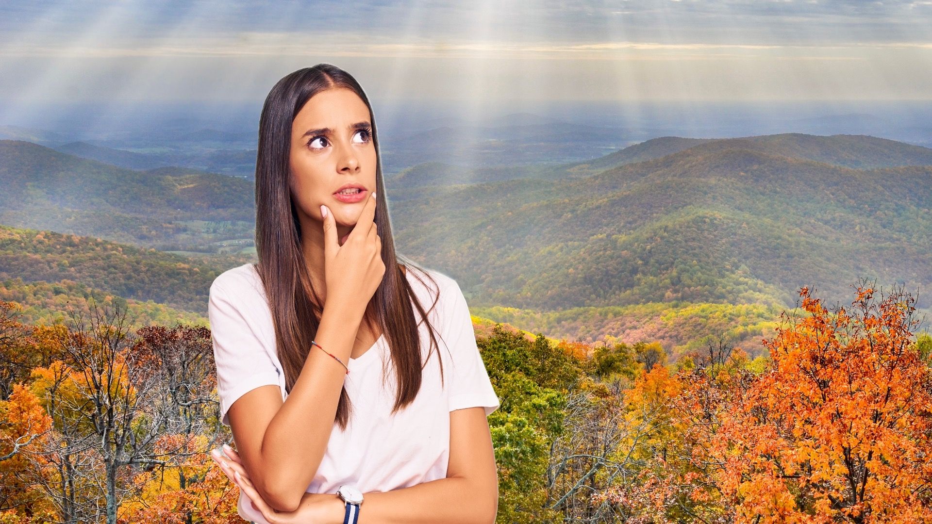 禁止された森：不気味な物語のある7国立公園の森