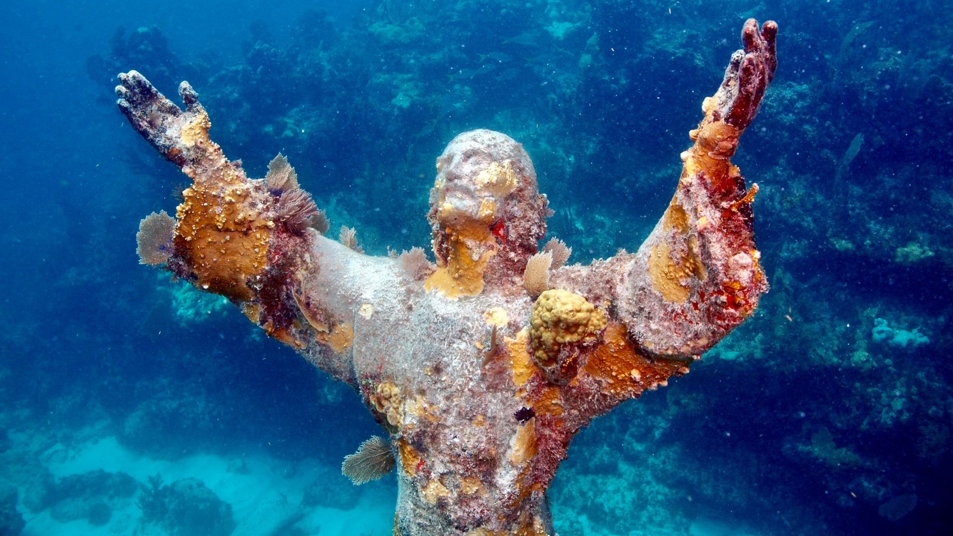 7つの隠れたスキューバの宝石：フロリダのパフォーマンスは次のとおりです