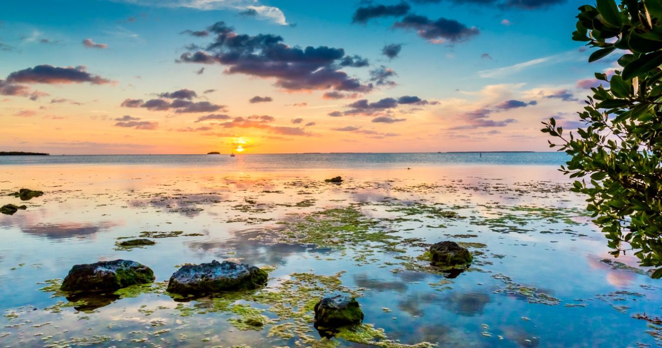 過小評価されているメリーランドを訪れるのに最適な7つの島