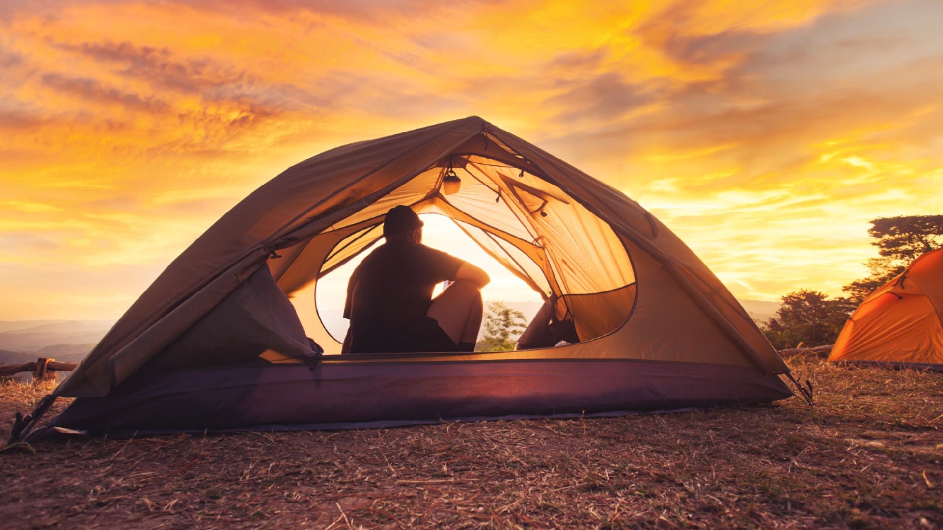 カリフォルニアの国立公園を訪問しますか？最初にタープで車を包みます
