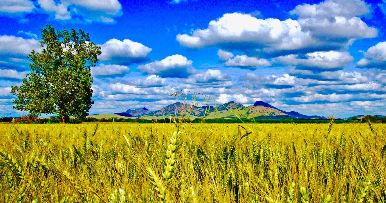 世界最小の山脈は北カリフォルニアにあります