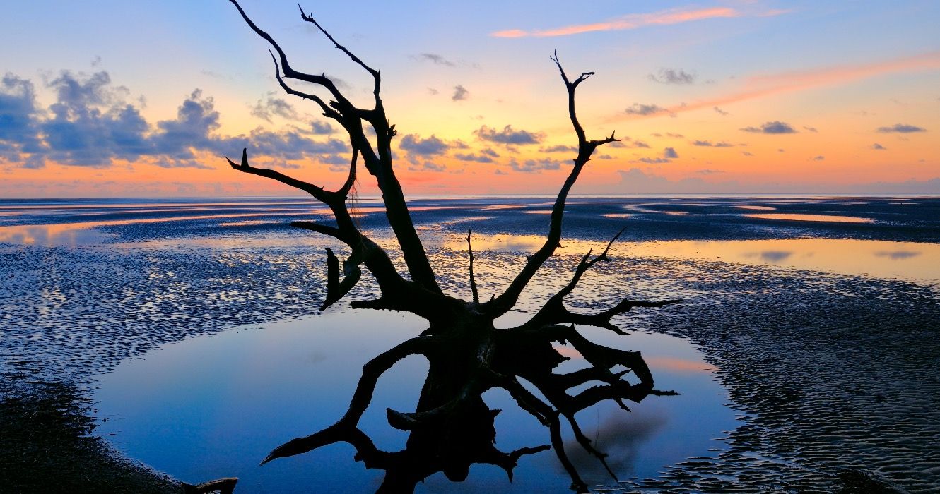 ジョージア州の海岸にある9つの保存されたビーチ