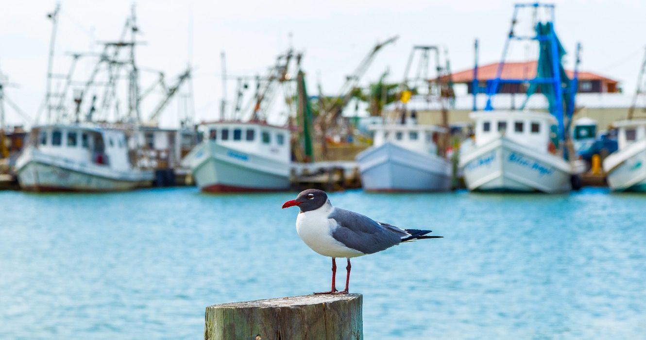 手頃な価格の米国のビーチタウン、住宅価格でランク付けされています