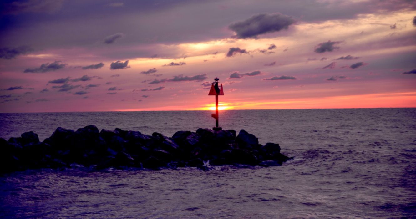 ゆるいゲーター：エリー湖で発見されたアリゲーター