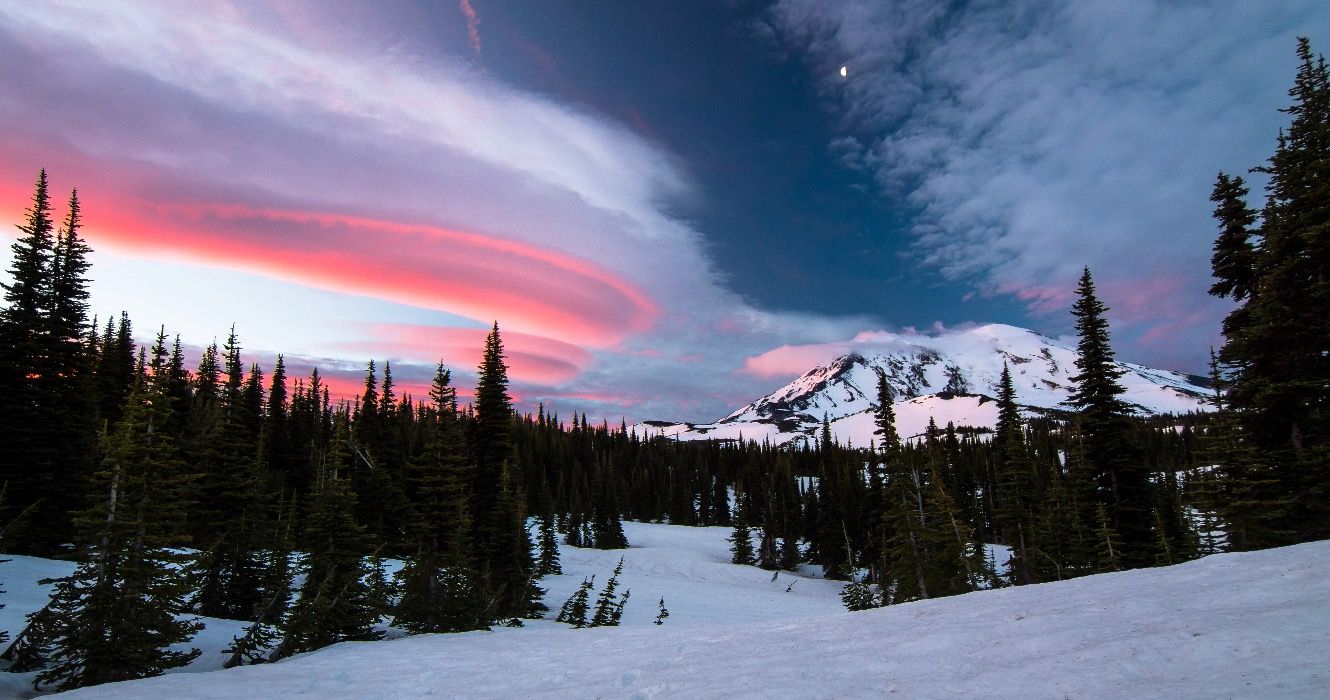 自然の不思議な観光客のtrapに代わる10の代替