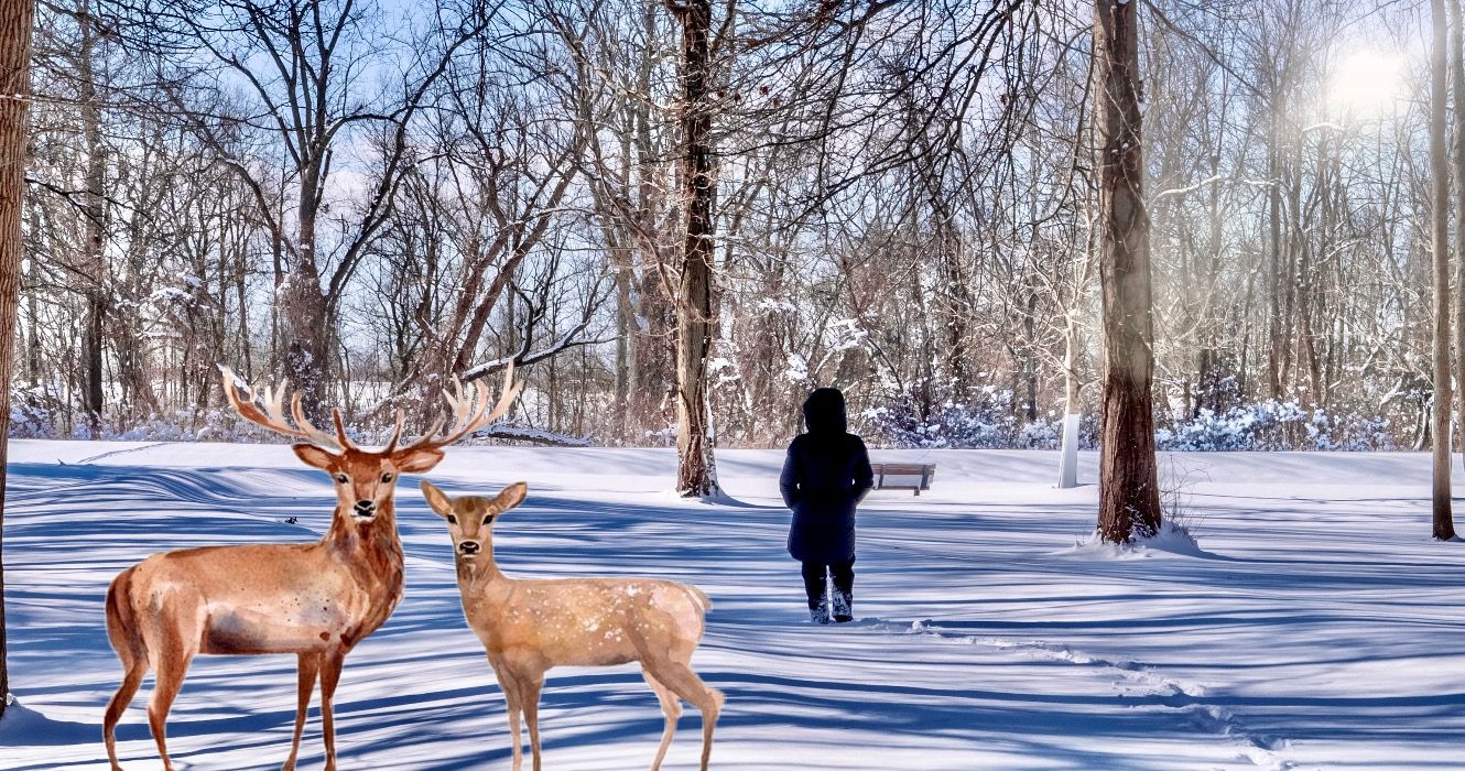 ニューヨークで引退するための7つの手頃な価格の小さな町