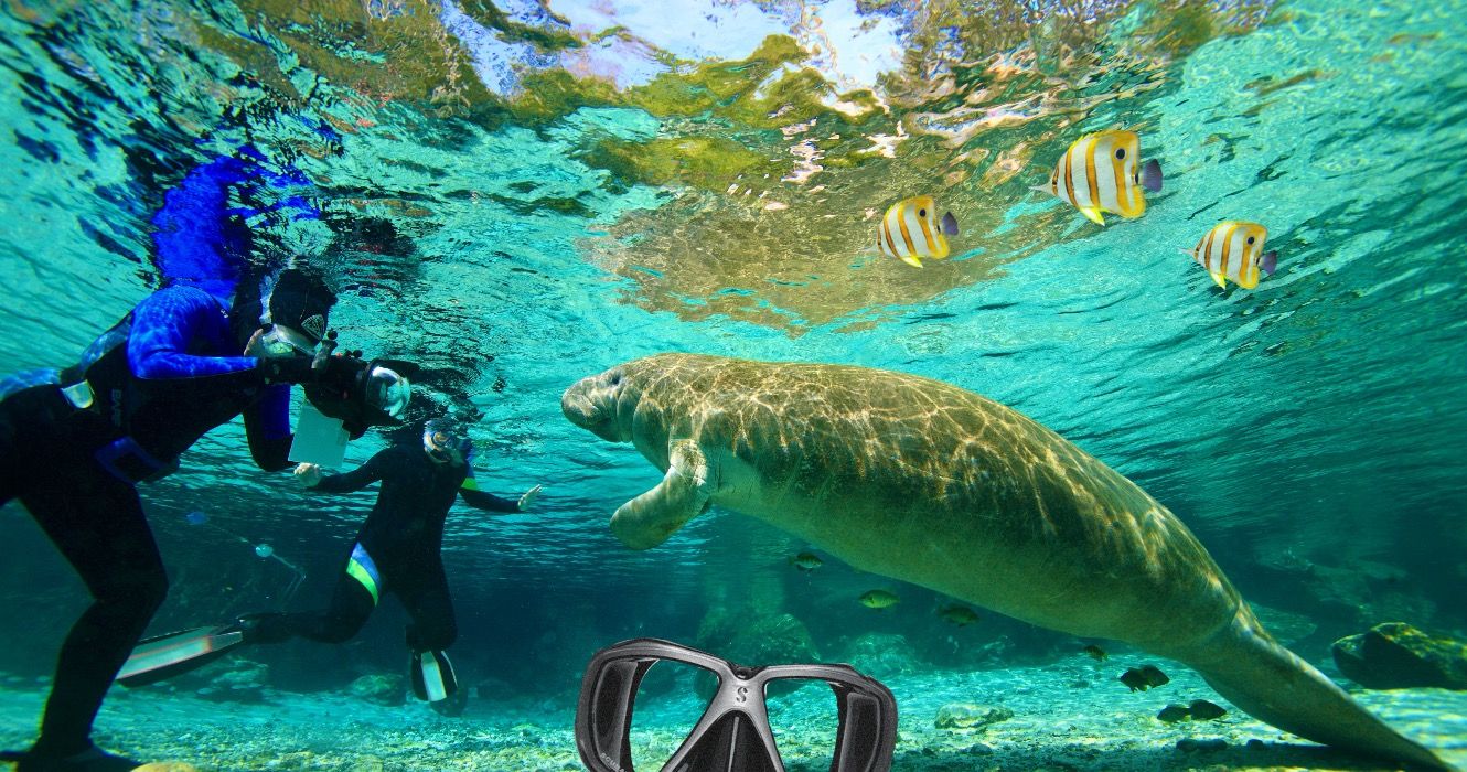 フロリダで引退するための7つの手頃な価格の小さな町