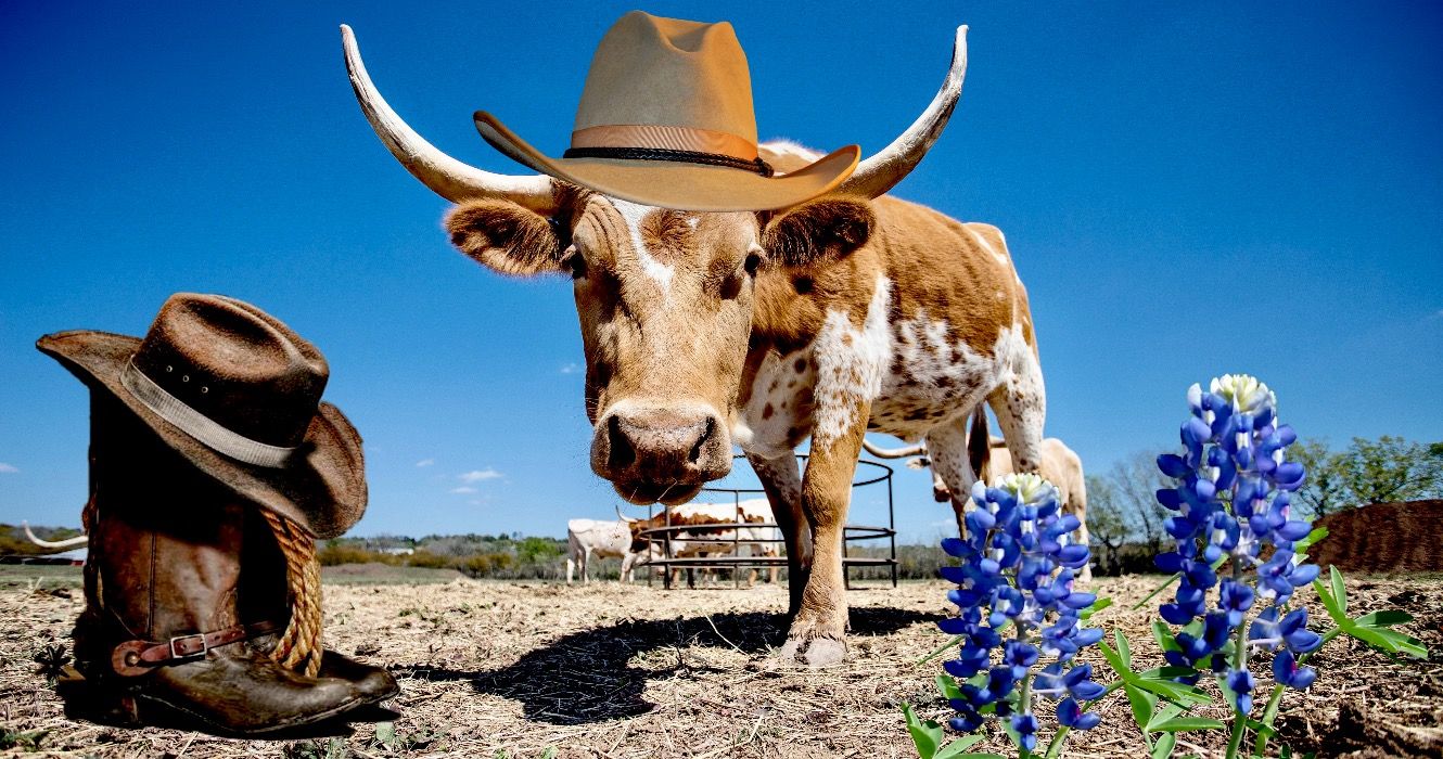 テキサスバケットリストに追加する7つの本物の体験