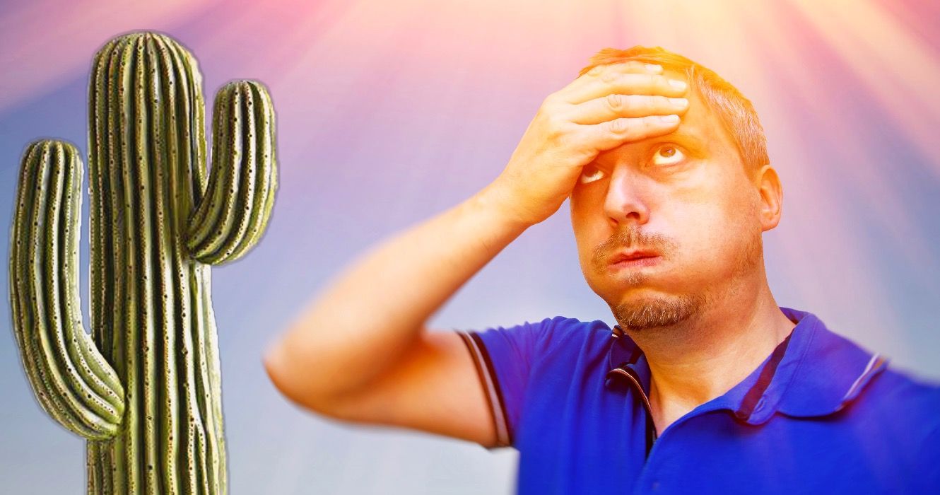 フェニックスに住むのが本当にどんなものかについての7つのこと