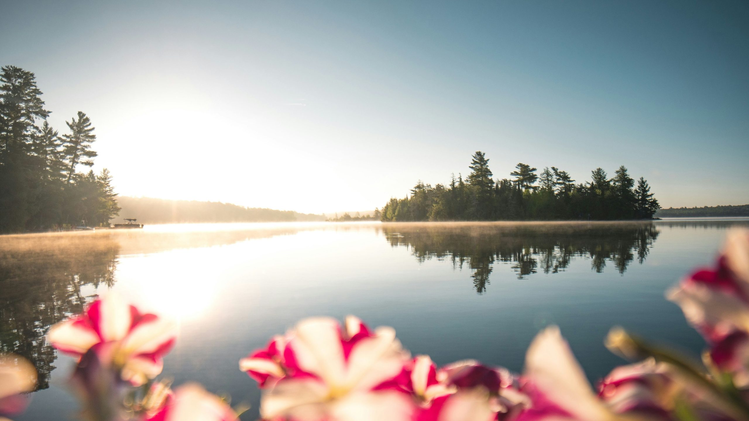 カナダのすべての州は、サイズでランク付けされています