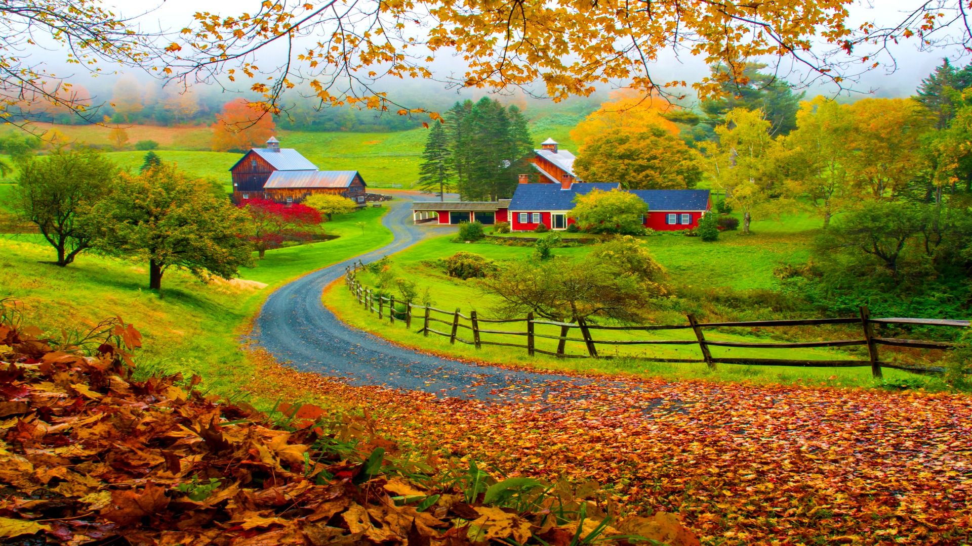 インフルエンサーまたは観光客？あなたはすでにバーモント州で最も牧歌的な秋の町から禁止されています