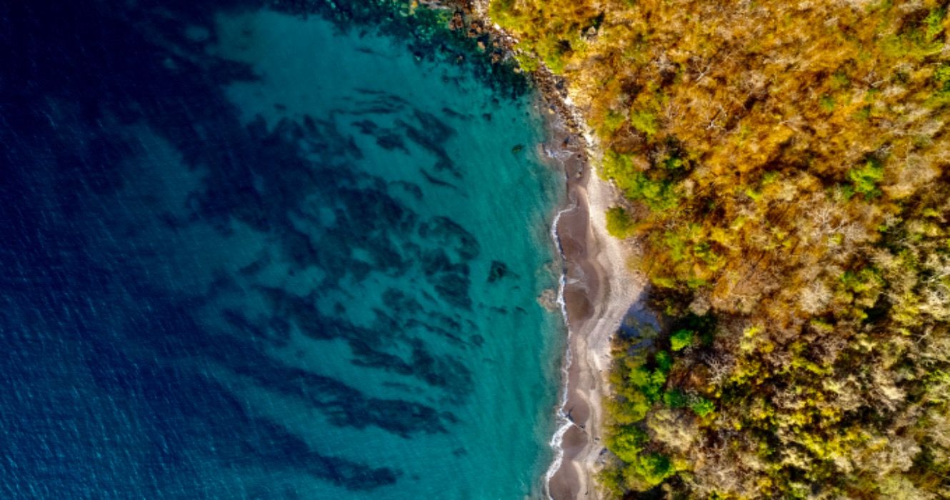 この邪魔されていないコスタリカのビーチは、米国からの完璧な脱出です